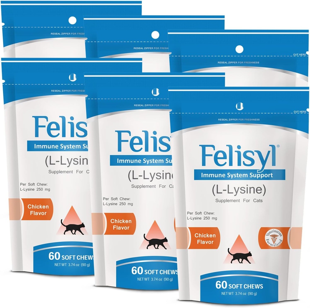 L-Lysine Soft Chews for Cat (60 Soft Chews) - 免疫、呼吸器、眼の健康をサポートします。 なめし、鼻鼻、水目。 サーモン風味 - (6パック)