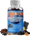 シラジット・グミ、シラジット、樹脂、85+ ミネラル、フルヴィク酸、Phytonutrients、ビタミンC、D、B12、Ashwagandha、Chagaのきのこの、エネルギー、免疫サポートのためのTurmericを追跡して下さい
