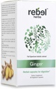 Rebel Herbs Ginger Capsules Powerful Dual Extract, Non-GMO, Gluten Free, Ginger Root (Rhizome) Extract