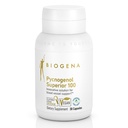BiogenaのPycnogenol 100のmgの金は優れた特許を取られたフランスのマリタイムのパインの樹皮のエキス(Pinus Pinaster)血循環を支えます