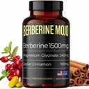 マグネシウムのGlycinate 240mg及びCeylonのシナモン100mgのBerberineの補足1500mg -米国でなされる自然な重量管理、腸の健康、高い効力及び吸収 - 60のタブレット