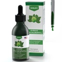 Chlorophyllの液体の低下- 100%の自然なエネルギー ブースターおよび免疫サポート-内部消臭剤および解毒-高度の病気の軽減-速い吸収、ビーガン及び非GMO - 120のサービング(パッケージ1)