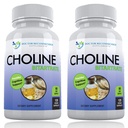 プレミアムコリン - 500 mg - 120ベジギーカプセル - 認知健康、メモリをサポート - 2パック