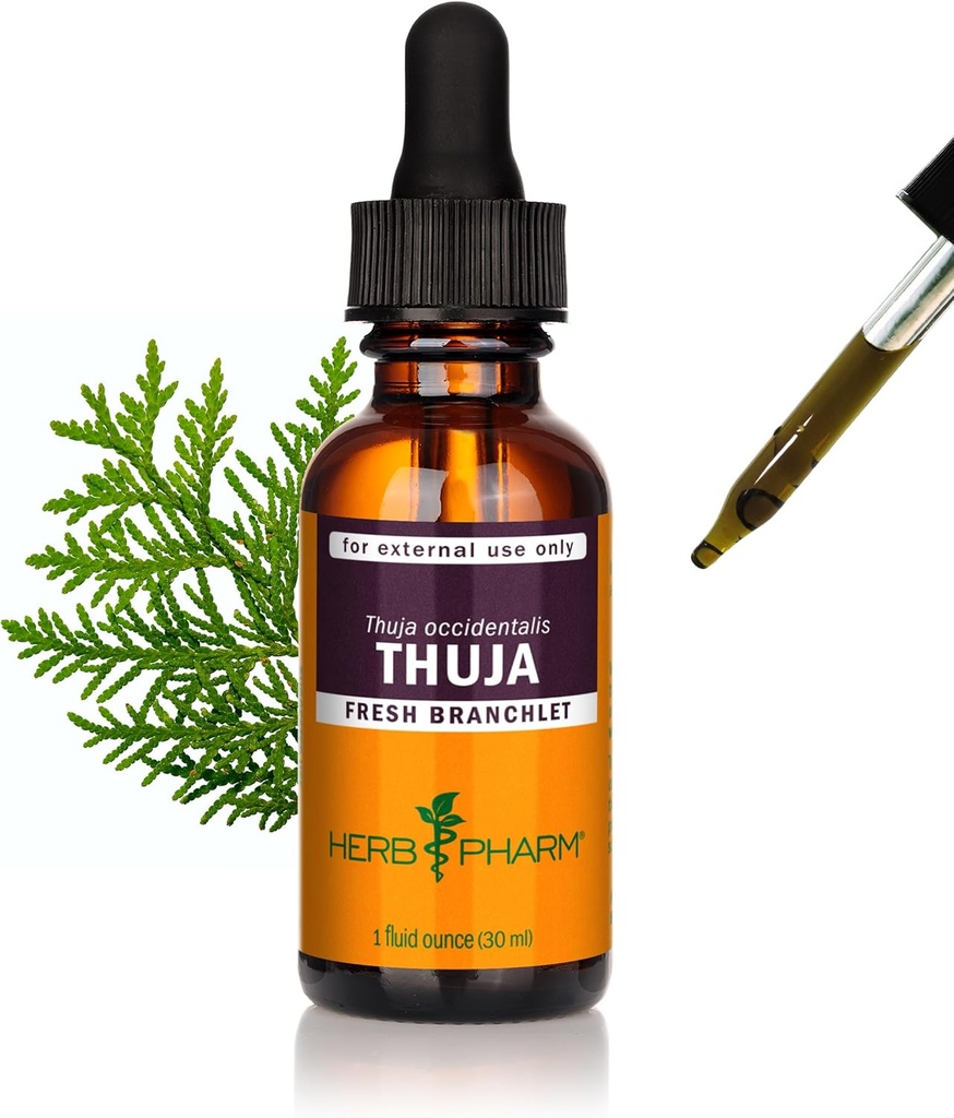 Herb PharmのThujaの分岐器の液体のエキス- 1のOunce (DTHUJA01)