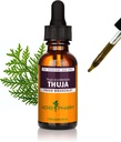 Herb PharmのThujaの分岐器の液体のエキス- 1のOunce (DTHUJA01)