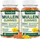 ルンス用ムーリンガミー | 2000mg ムレインリーフエキス 呼吸器・免疫サポート | 純粋なベジタリアン ムレインガミー ハーブ | ソフト&ノンスティック | マンゴーフレーバー | 2パック