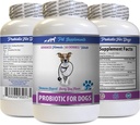 悪い犬の呼吸療法 - 犬のためのPROBIOTICS - 健康なガット - ガスDiarrheaと悪い呼吸を停止 - 消化ブースト - 犬のプロバイオティクス悪い呼吸 - 1ボトル(60のお菓子)