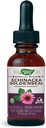 Nature's Way PremiumフォーミュラEchinacea-Goldenseal、250 mg /サービング、99.9%アルコールフリー、1.01 Oz。