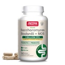 JarrowフォーミュラSaccharomyces Boulardii + MOS - サービングあたりの5億組織 - 180遅延リリースベジエキャップ - プロバイオティック + プレバイオティック - 腸内トラクトサポート - 最大180のサービング