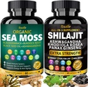 Bualle海苔とShilajitバンドル-海苔300mg、黒の種子油100mg、Ashwagandha 50mg、Ginger&Shilajit 300mg、Rhodiola Rosea 100mg、Panax Ginseng 50mg、1つのサプリメント-USA Made(2パック)