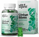 Wild & Organic Gingko Biloba 120mg Gummies - Brain Support and Focus Supplement w/Ginkgo Biloba Extract - Vegan, Non-GMO - 60 Pectin-Based Herbal Chewables