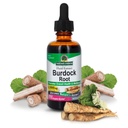 Nature's Answer Burdock Root | ハーブサプリメント | 超集中 | 全体的な健康と健康を促進する | 低アルコールとグルテンフリーの2oz