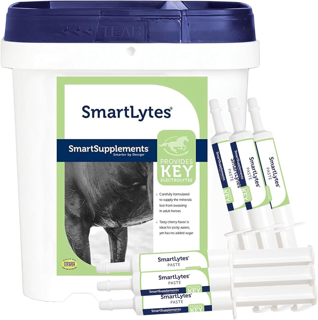 SmartEquine SmartLytes 馬の電解質の粉の補足及び SmartLytes のりの馬の電解質のりのり 6 の管の束、励起水、電解物、加えられた砂糖を補充して下さい