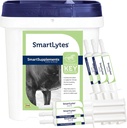 SmartEquine SmartLytes 馬の電解質の粉の補足及び SmartLytes のりの馬の電解質のりのり 6 の管の束、励起水、電解物、加えられた砂糖を補充して下さい