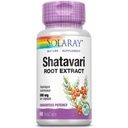 SOLARAY保証効力のShatavariの根のエキス、ベジーの帽子(Btl-Plastic) 500mg   60ct