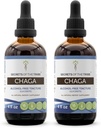 Tribe Chaga Tinctureアルコールフリーエキス、Wildcrafted Chaga(Inonotus obliquus)の秘密は、全茸を乾燥(2x4 FL OZ)