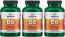 スワンソンB6ピリドキシン - 心臓血管の健康とエネルギー代謝を促進するビタミンサプリメント - 全体的なウェルネスを促進する天然式 - (250カプセル、100mg各) 3パック