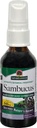 Nature's Answer Sambucus Syrup Extract Spray 2 Fluid Ounces | 免疫ブースター ゴー | 旅行に優しい | 抗酸化剤が豊富 | 自然免疫サポート