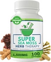 海苔カプセル100パック - ブラッドダーラックパウダー&ブルドックルートパウダー - Keto&Alkalineダイエットサポート - いいえフィラーSeamos未加工サプリメント