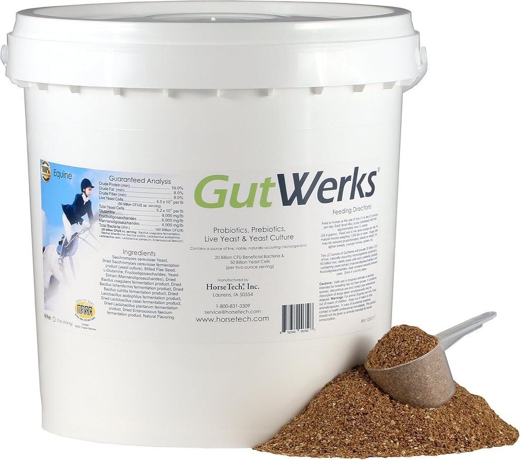 ホーステック・グットワーク(10ポンド)