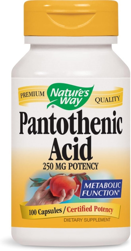 Nature's Wayパントテン酸250ミリグラムの効力、100カプセル。 3本のパック