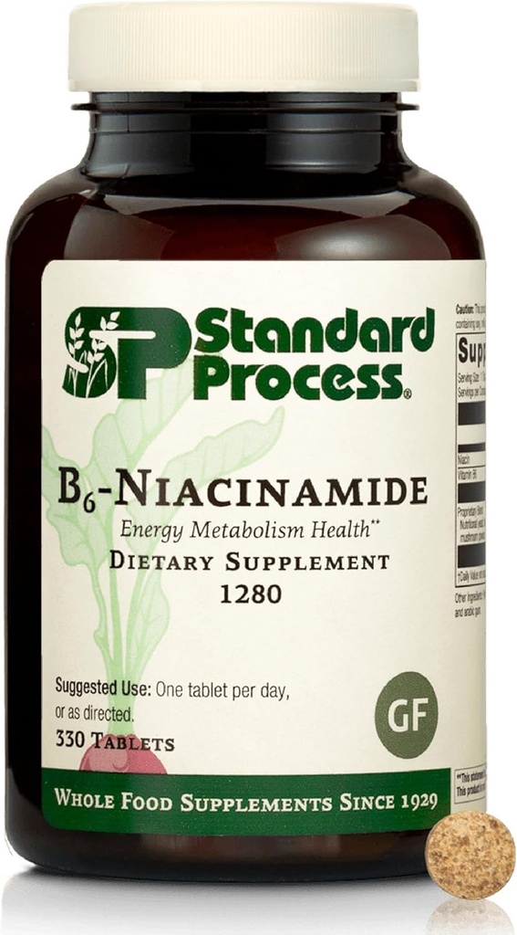 標準的なプロセスB6-Niacinamide -サポート エネルギー代謝及び中心の健康-援助の消化器及び血循環システム-グルテンフリー、非酪農場及び非大豆- 90のタブレット(90のサービング)