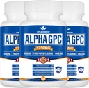 15in-1 PHosphatidylserine、Uridine、L-Theanine、ライオンのマニッシュルーム、180カプセルが付いているアルファGPCの補足