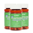 CAWナノCycloastragenol 98% 5mg 30キャップ | アンチエイジングTelomere Plus | 米国製非GMO | より良い吸収 | 腸上塗を施してあるベジタリアンカプセル 3 ボトル