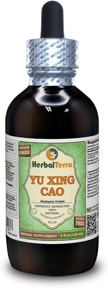 Yu Xing Cao(Houttuynia Cordata)グリセライト、乾燥ハーブアルコールフリー液体エキス(ブランド名:HerbalTerra、米国製)4 fl.oz(120 ml)
