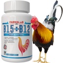 Roosters B15 B12のパラガロス100のタブレットのためのFarmalab B12 B15