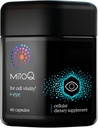MitoQ +EyeアドバンストCoQ10抗酸化剤 - Mitoquinol Mesylate、Lutein、Zeaxanthin、Bilberry、Maritime Pine Bark - 目の健康、青い光のろ過および細胞の死亡率(60カプセル)をサポート