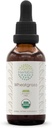 HerbEra Wheatgras B60 USDA Organic Tincture | アルコールフリーエキス、高効力ハーブドロップ、液状サプリメント | 認定有機小麦草(Triticum aestivum)ドライリーフ(2oz)
