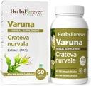 HerbsforeverのVarunaのNurvalaのエキスのカプセル - 完全菜食主義者及びグルテンフリーの  植物はBradder及び腎臓機能、カプセルごとの800のmg (60のノ)を基づかせていました