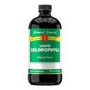 Bernard Jensenの100%の純粋で自然なChlorophyllの味の液体の補足 | 血を清めるのを助けて下さい | 16 の液体のOunce (474 ml)