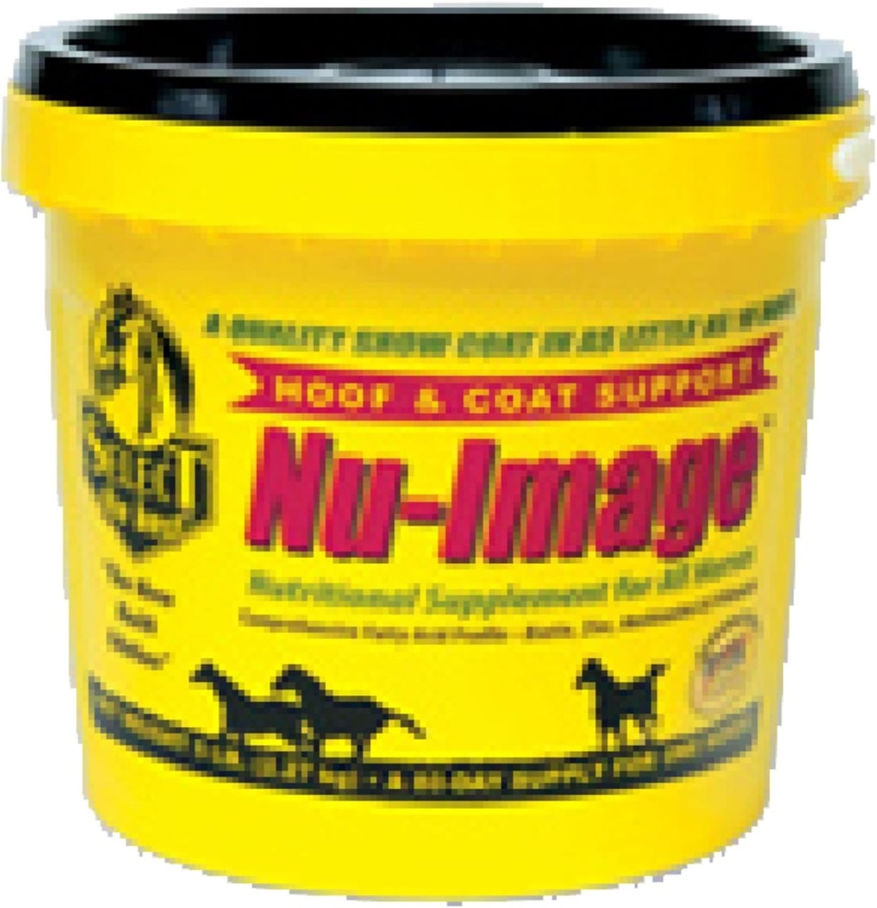 JUANWAN RICHDEL ヌ・イメージ 073525