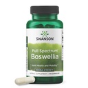 Swanson の活動的な大人のための二重強さの Boswellia Serrata Ayurvedic の接合箇所の補足は柔軟性および移動性サポートを見ます - 800 の mg (60 のカプセル)