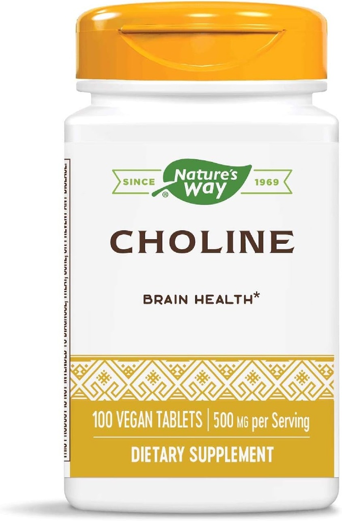 Nature's Way Choline、500 mg /サービング、100錠(2パック)