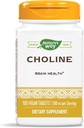Nature's Way Choline、500 mg /サービング、100錠(2パック)