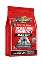 Screaminエネルギー最大ヒット - Ginseng&カフェイン - 100% B-1、B-2、B-3、B-6、B-7、B12コーヒーモカ、24カウント
