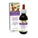 ナチュラルマ・アシュワガンダ (withania somnifera) ルートアルコールフリーのチンキ - 4 fl oz 液体エキス ドロップ - ハーブサプリメント - ビーガン