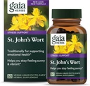 Gaia Herbs St. John's Wort, ビーガン液体カプセル, 60 カウント - PositiveとSunny Moodを促進するためのストレスサポート