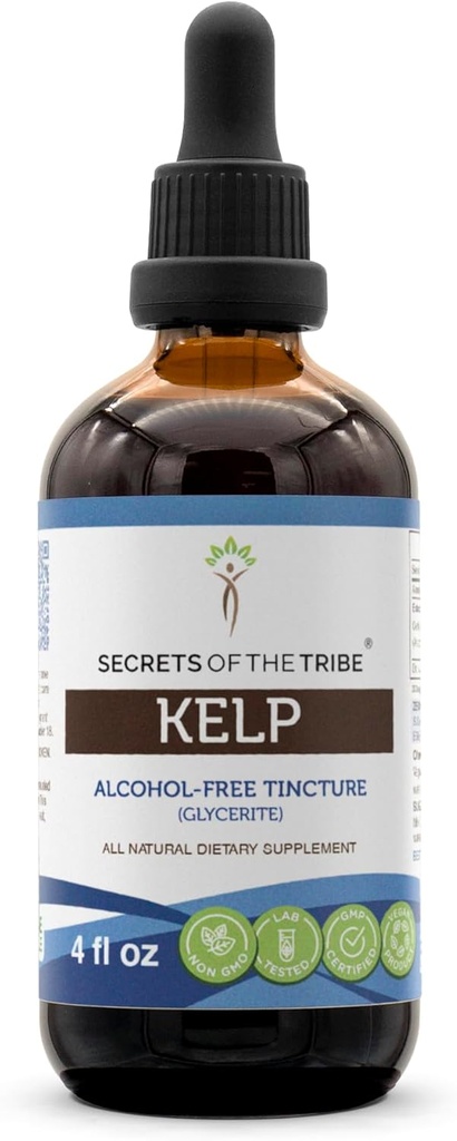 Secrets of the Tribe Kelp Tincture Alcohol-Free Liquid Extract, Kelp (Ascophyllum nodosum) Dried Plant (4 FL OZ)