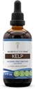 Tribe Kelp Tinctureアルコールフリー液体エキス、ケルプ(Ascophyllum nodosum)乾燥工場の秘密(4 FL OZ)