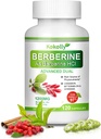 Berberineの補足1200mg -自然な植物- Berberine HCL、シナモン、Bittermelon、体育館(120のカプセル)と基づく