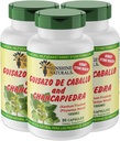 Sunshine Naturals Guisazo & Chancapiedra Herbal Blend、ウェルネスサポートのための自然な栄養補助食品、90カプセル。 3パック