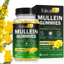 肺デトックスのためのMulleinグミー, 2000 mg Mulleinリーフ抽出物 呼吸 & 消化 & 免疫サポート w/Quercetin, Bromelain, エルダーベリー & マシュマロ, ビーガン120グミー (1 ボトル 60 ガミー) (1)