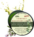 SSFの有機物Comfreyの回復Salve。 骨、筋肉、接合箇所、膝、皮、膨張及び入れ墨の心配のための有機性草の細菌。 手作り、スロー注入。 化学薬品の注入口無し。2つのoz