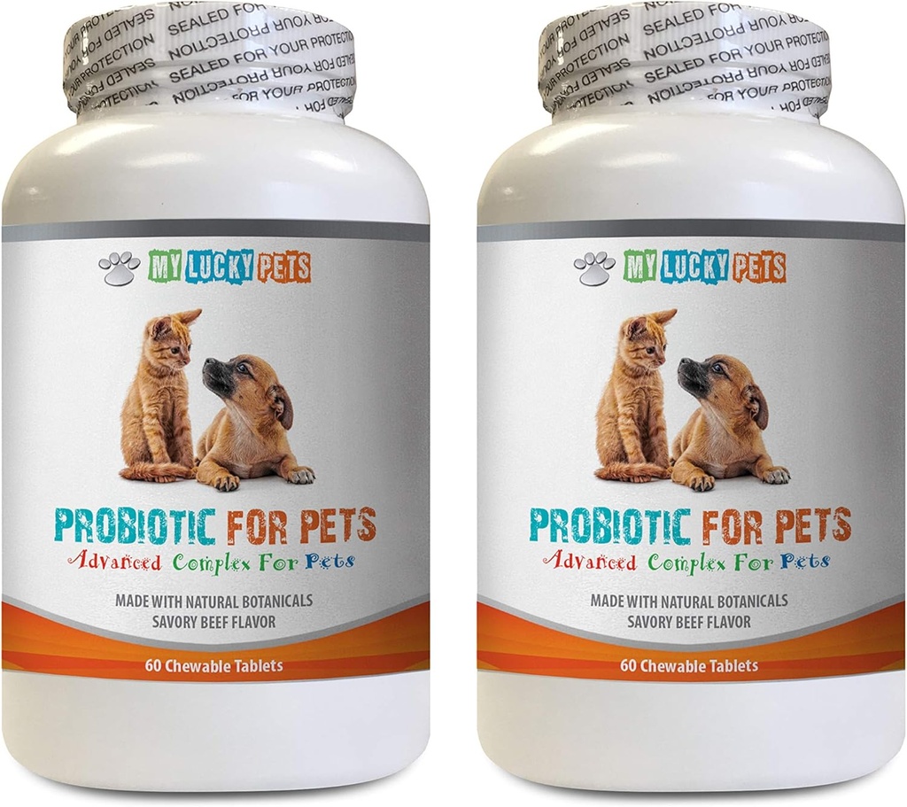 犬のプロバイオティック消化酵素 - ペットプロバイオティック - DOGSとCATS - 消化器BOOST - 飼料の残量とストップDIARRHEA - 乳酸菌サリバリウムプロバイオティクス - 2本のボトル(120のお菓子)