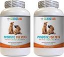 犬のプロバイオティック消化酵素 - ペットプロバイオティック - DOGSとCATS - 消化器BOOST - 飼料の残量とストップDIARRHEA - 乳酸菌サリバリウムプロバイオティクス - 2本のボトル(120のお菓子)