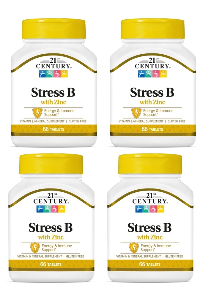 21st Century Stress B W/Zinc 66 カウント (4 パック)